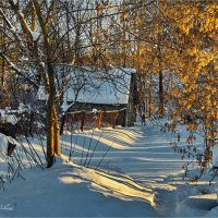 "Зима и солнце"© :: Владимир Макаров
