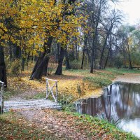 Золотая осень в Ясной поляне :: Владимир 