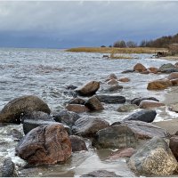 На берегу Куршского залива. :: Валерия Комова