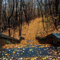 Осень на склонах Днепра :: Олег 