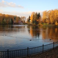 Золотая осень в Приморском парке :: Наталья Герасимова