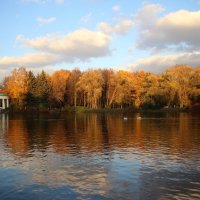 Золотая осень в Приморском парке :: Наталья Герасимова