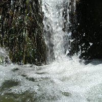 водопад :: Giant Tao /