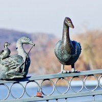 Птички на мосту :: юрий иванов 