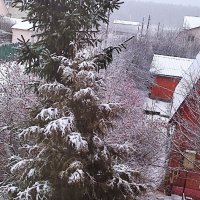 Пришла зима. :: Михаил Столяров