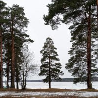 Волжские берега :: Татьяна Тюменка