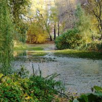 В Аптекарском огороде :: Маргарита Батырева