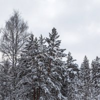 Зима :: Леонид Никитин