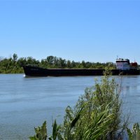 Пухляковский. Сухогруз "Омский - 107" в водах Дона у хутора. :: Пётр Чернега