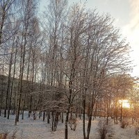Морозное утро :: Сергей Кочнев