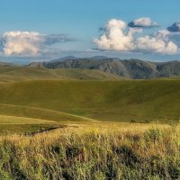 Алтайское предгорье :: Виктор Четошников