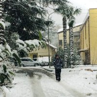 Снег :: Ирина Климченкова