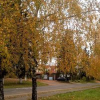 село Заворово в золотую осень :: Елена Семигина
