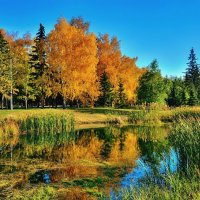 Осень в парке :: Mikhail Irtyshskiy