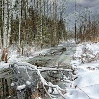 Лесной уголок :: Юрий Митенёв