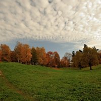 в осеннем парке... #46 :: Андрей Вестмит