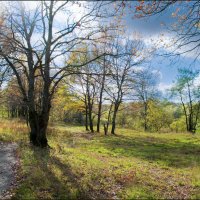 Осень. Район возле Болвы :: Евгений 