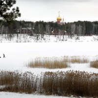 Городское озеро зимой :: Юрий Епифанцев