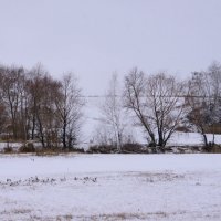 Пейзаж со снегом. :: сергей 