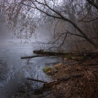 Таинственность лесного озера :: Валерий VRN