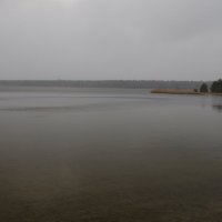 ноябрь 2021г (28)...Липовское озеро... :: Михаил Жуковский