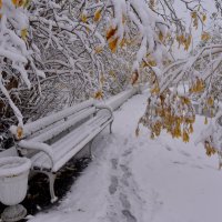 Поздняя осень... :: Витас Бонифаций Бенета