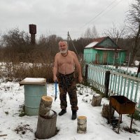 Дрова для бани. :: Василий Капитанов