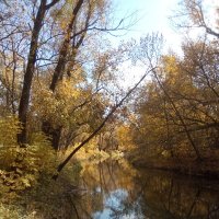 Осенняя река :: Владимир Науменко