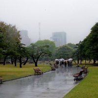 Осака.Дождь. :: Михаил Рогожин