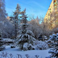 После снегопада :: Nina Karyuk