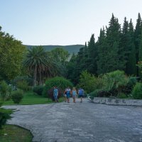 Герцег-нови-ботанический сад Черногории :: Ольга 