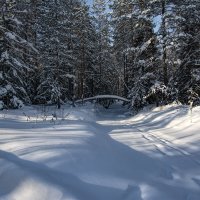 Лесная речка спит под снегом :: Vladimbormotov 