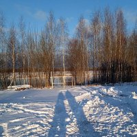 Тени на снегу. :: Ольга Довженко
