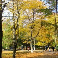 В городском парке :: Нина Бутко