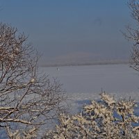 После снегопада :: Владимир Рыбак