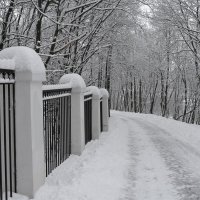 Зимняя прогулка :: Андрей Зайцев