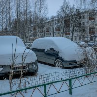 "Мороз снежком укутывал..." :: Михаил "Skipper"