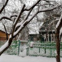 А за городом зима, зима, зима! :: Татьяна Помогалова