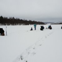 Зимняя рыбалка на реках и озёрах Севера. :: ЛЮДМИЛА 