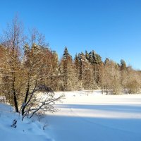Пруд под снегом :: Андрей Снегерёв