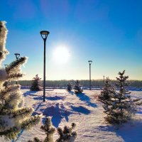Зимний день - декабрь :: Динара Каймиденова