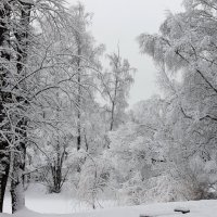 В ЗИМНЕМ ПАРКЕ :: Валентина 