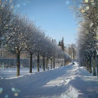 Зима — время пушистых снежинок, горячего чая и хороших книг… Будьте счастливы этой зимой :: Tatiana Markova