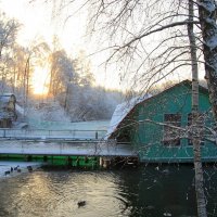 Зима в парке. :: Инна Щелокова
