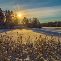 Декабрь, солнце и мороз 03 :: Андрей Дворников