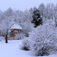 Мой сад после снегопада :: Людмила Смородинская