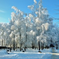 Чудесный выдался денёк :: Вячеслав Маслов