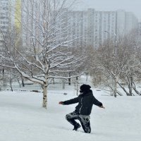 Синоптики были правы: за ночь выпало до 30 см снега. :: Татьяна Помогалова