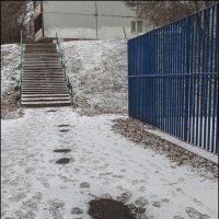 Снег прошел :: Александр Тарноградский