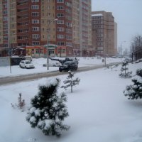 Зимним днем в моем городе :: Елена Семигина